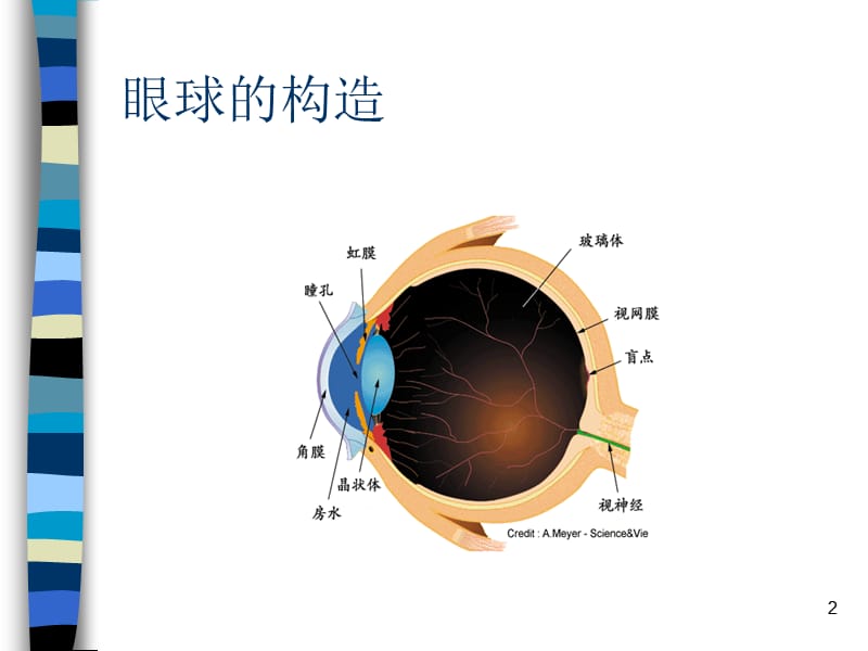 儿童眼保健知识PPT课件_第2页