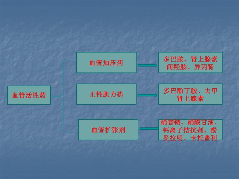 周围血管舒张药及抗休克血管活性药PPT演示课件_第2页