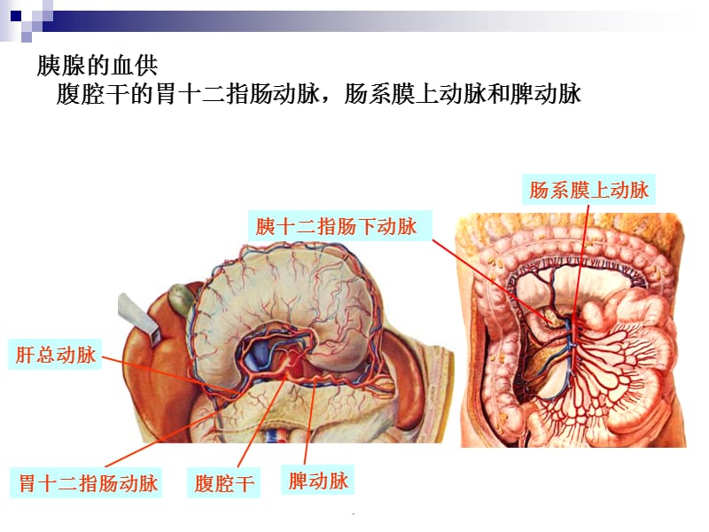 胰腺癌综合诊治中国专家共识PPT演示课件_第3页