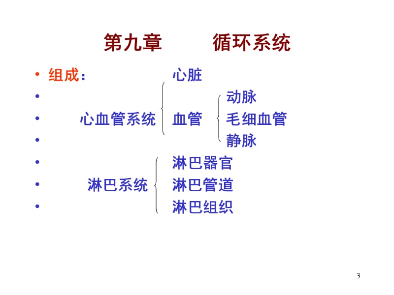 人体解剖学循环系统ppt课件_第3页