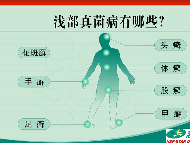 皮肤病知识及用药ppt课件_第3页