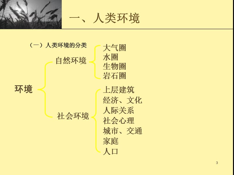 人类与环境 ppt课件_第3页