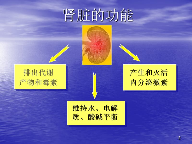 慢性肾衰竭主要内容PPT课件_第2页