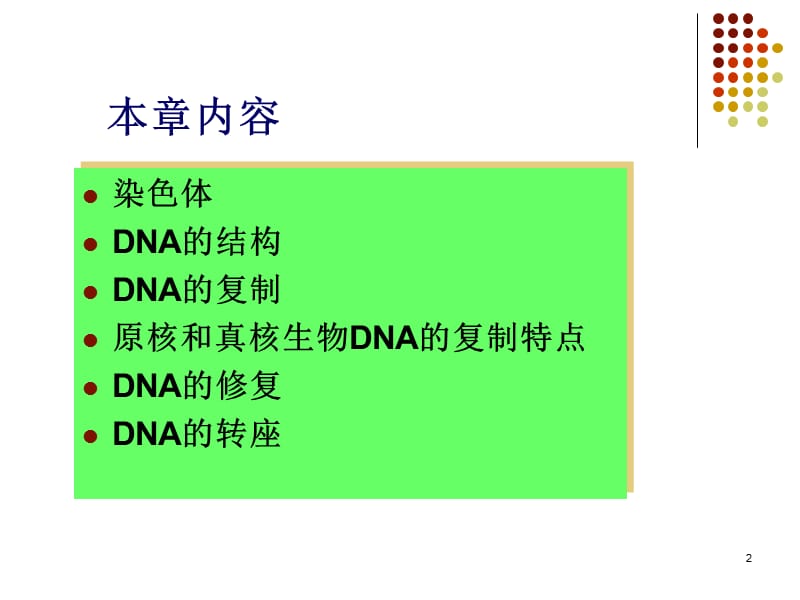 染色体与DNA1PPT课件_第2页