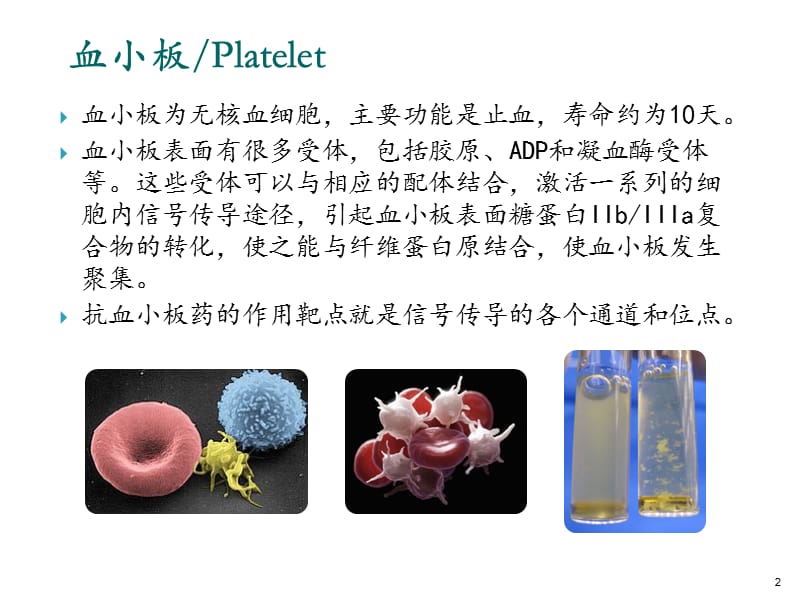 抗血小板药物使用 ppt课件_第2页