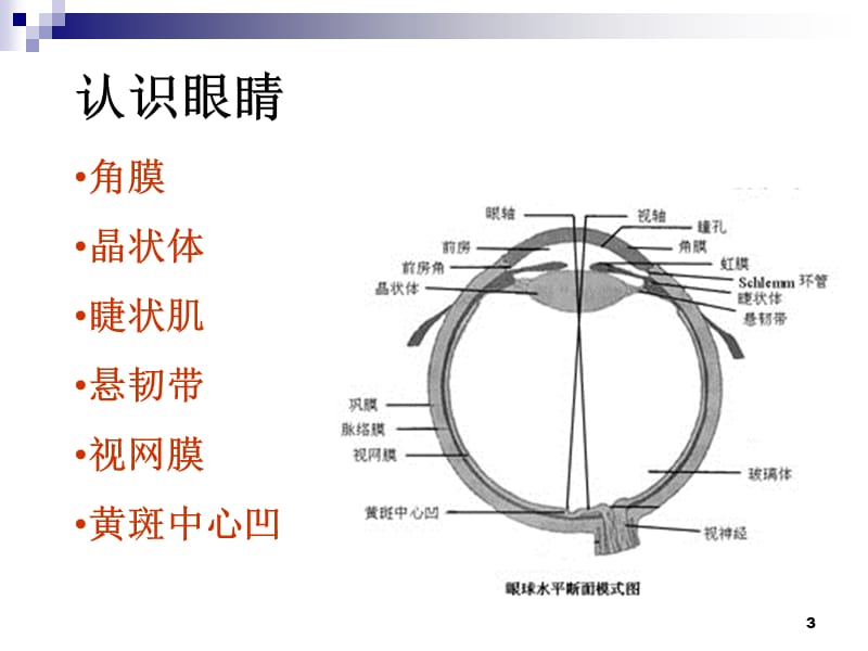 社区儿童早期视力筛查方法讲义ppt课件_第3页