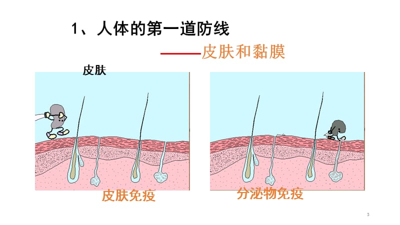 免疫与计划免疫PPT课件_第3页