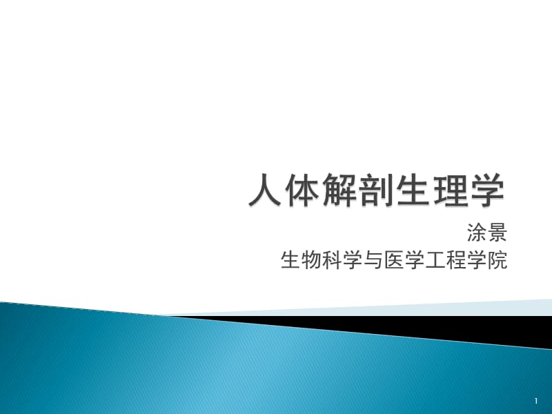 人体的胚胎发生和生长发育 ppt课件_第1页