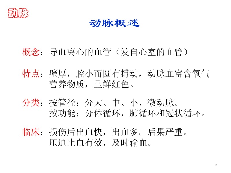 人体解剖学动脉 ppt课件_第2页