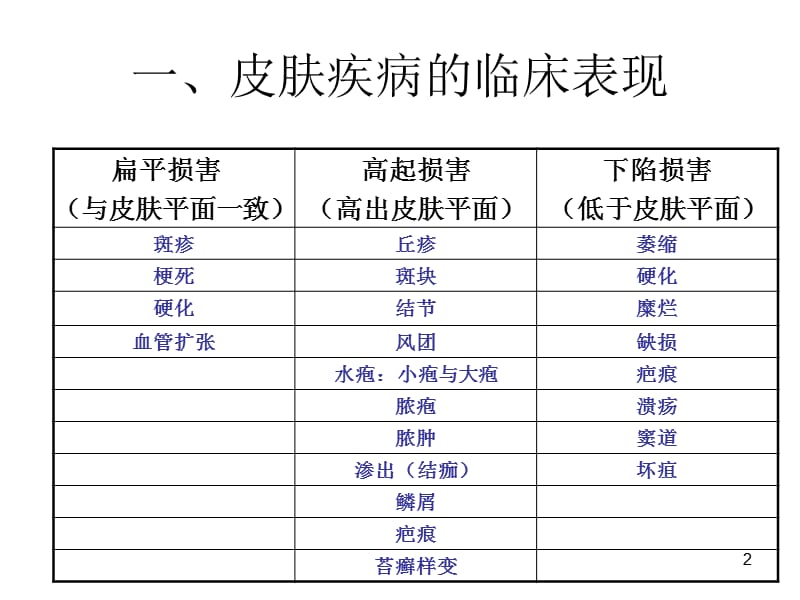 皮肤基本病理改变PPT课件_第2页