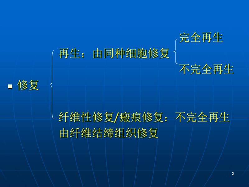 临床医学病理学课堂损伤修复 ppt课件_第2页