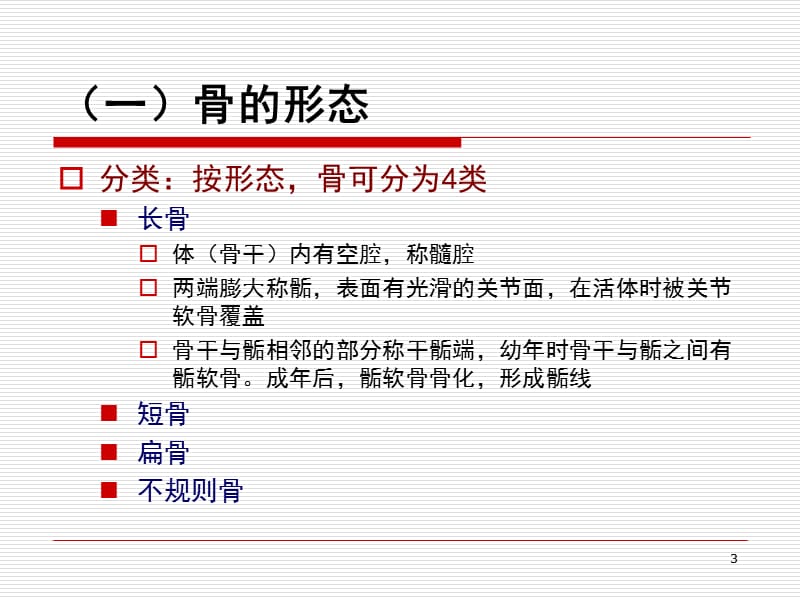 人体解剖学运动系统 ppt课件_第3页