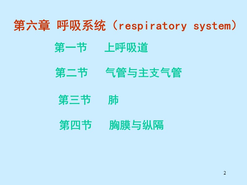 人体解剖学呼吸系统ppt课件_第2页