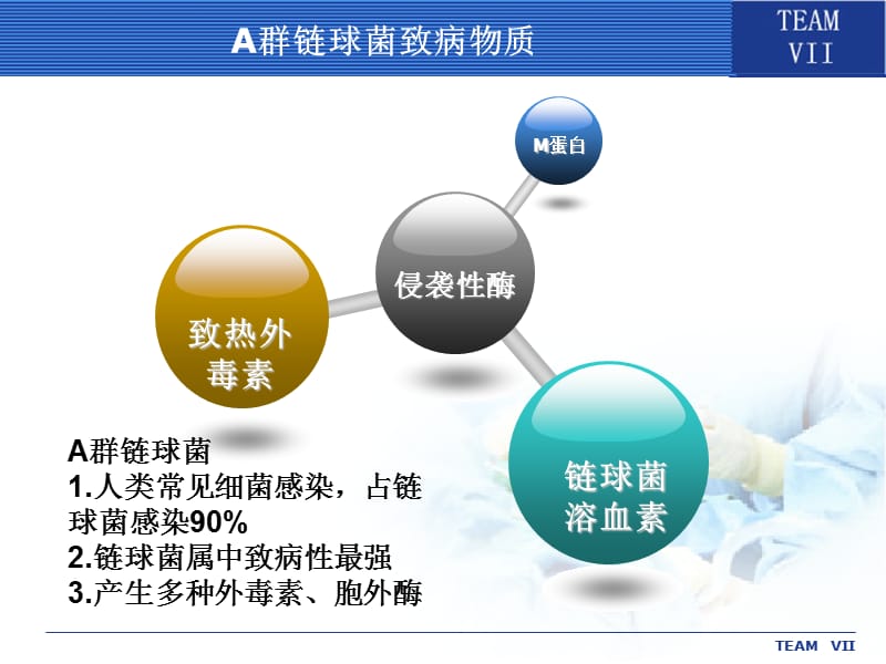 链球菌属の致病性 ppt课件_第3页