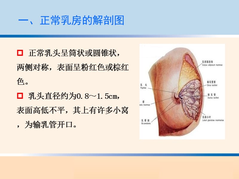 乳房问题的干预与治疗 ppt课件_第3页