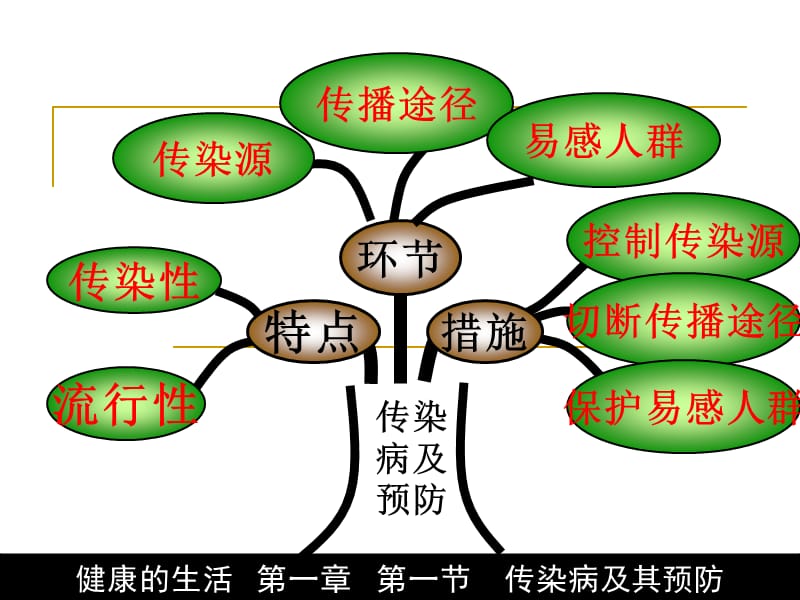 人体的三道防线ppt课件_第2页