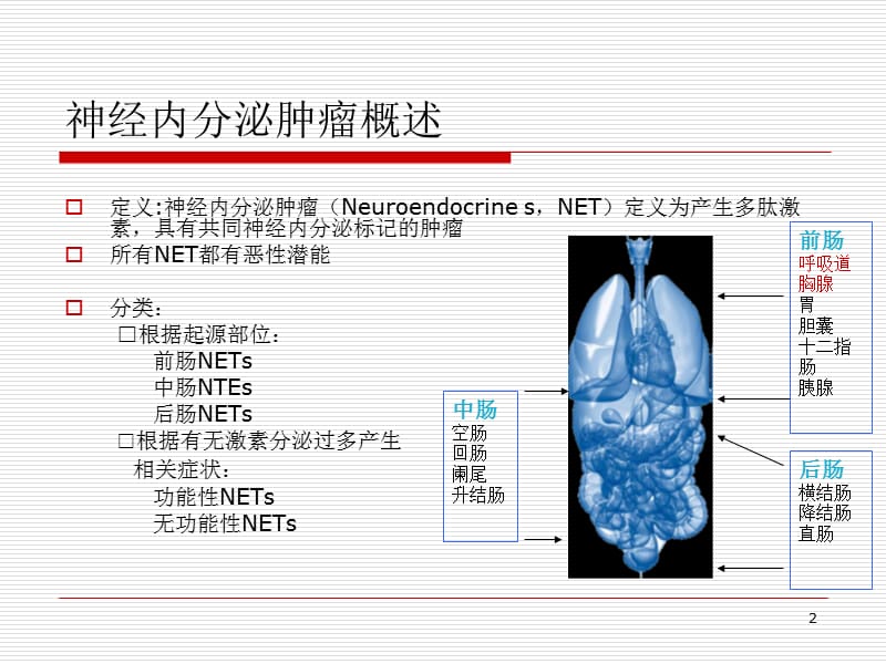 胃肠胰神经内分泌肿瘤的诊断与治疗ppt课件_第2页