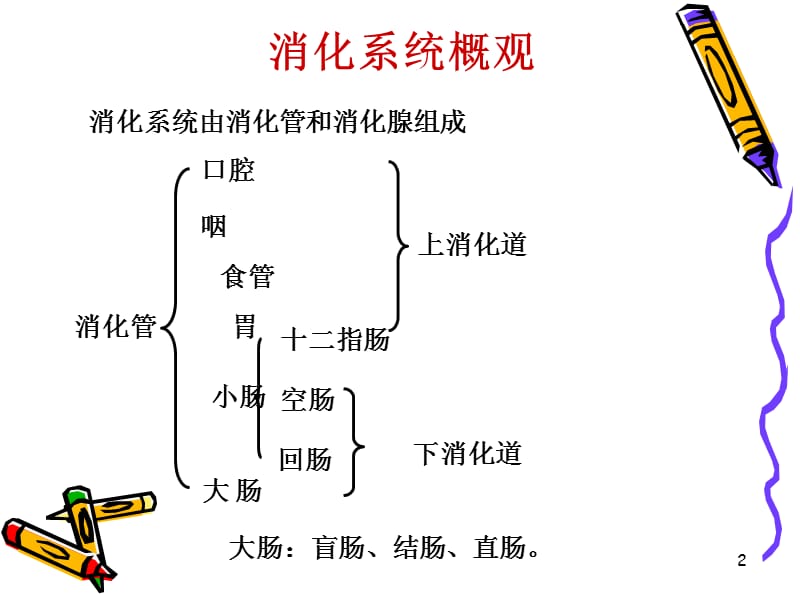 消化系统健康评估PPT课件_第2页