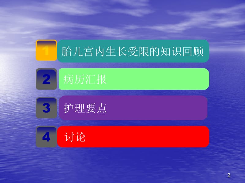 胎儿生长受限的护理查房PPT课件_第2页