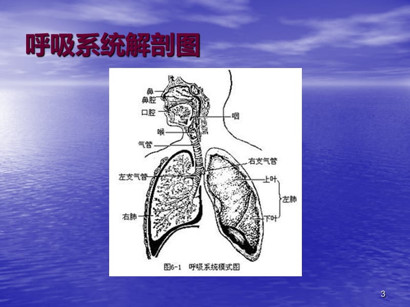 小儿发热及手足口病PPT课件_第3页