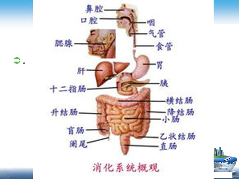 胃肠镜检查前后的护理ppt课件_第2页