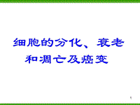 細胞的分化衰老和凋亡及癌變PPT課件