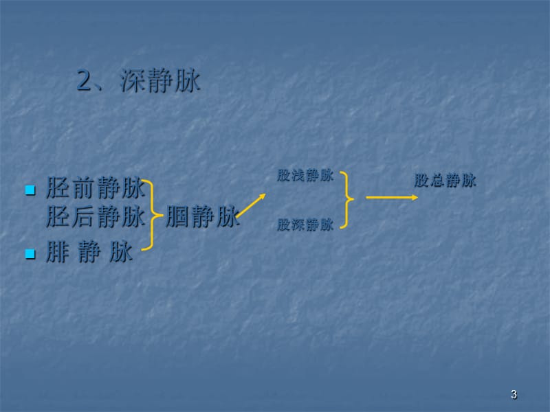 下肢大隐静脉曲张伴血栓性静脉炎 ppt课件_第3页