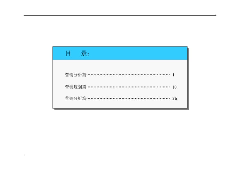 赛格营销推广策划方案_第2页