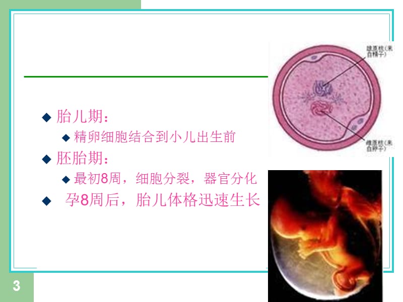 小儿年龄分期及特点PPT课件_第3页