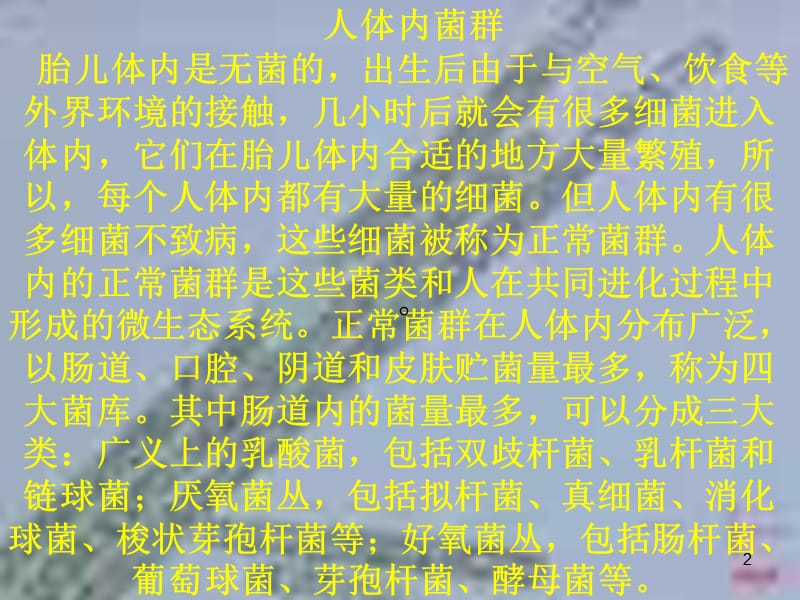 细菌和真菌ppt课件_第2页