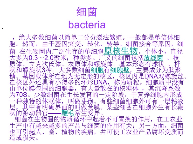 细菌和真菌ppt课件_第3页