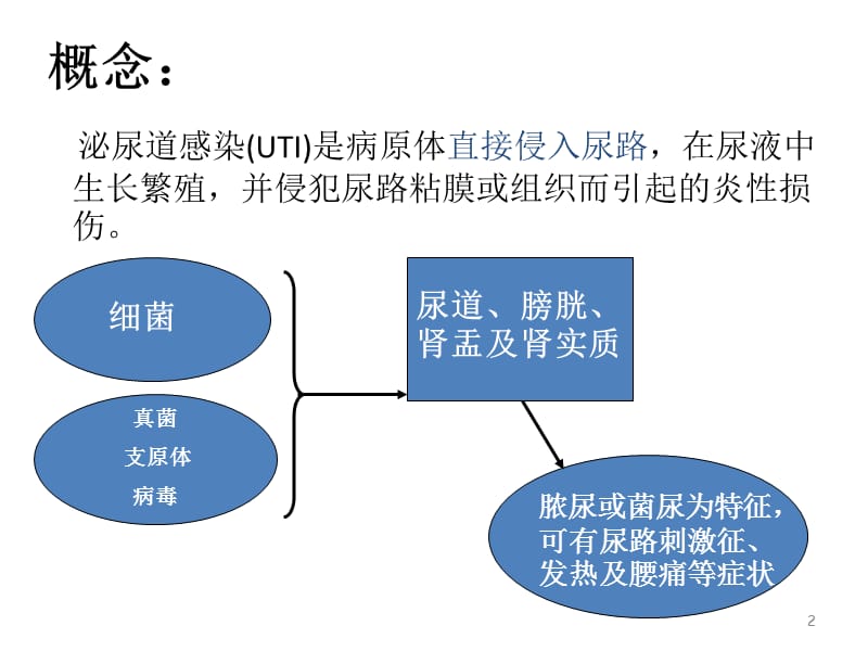 小儿泌尿道感染PPT课件_第2页