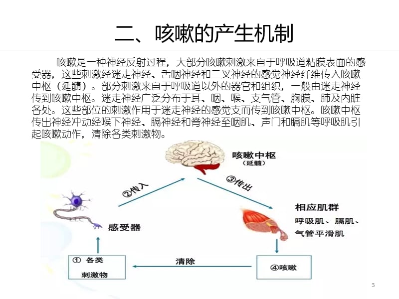 小儿咳嗽PPT课件_第3页