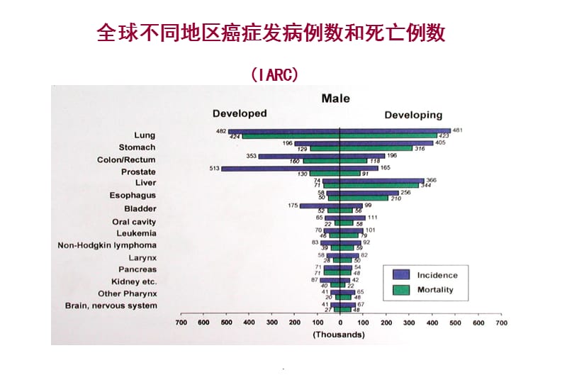 早期乳腺癌的辅助化疗从规范化走向个体化PPT演示课件_第3页