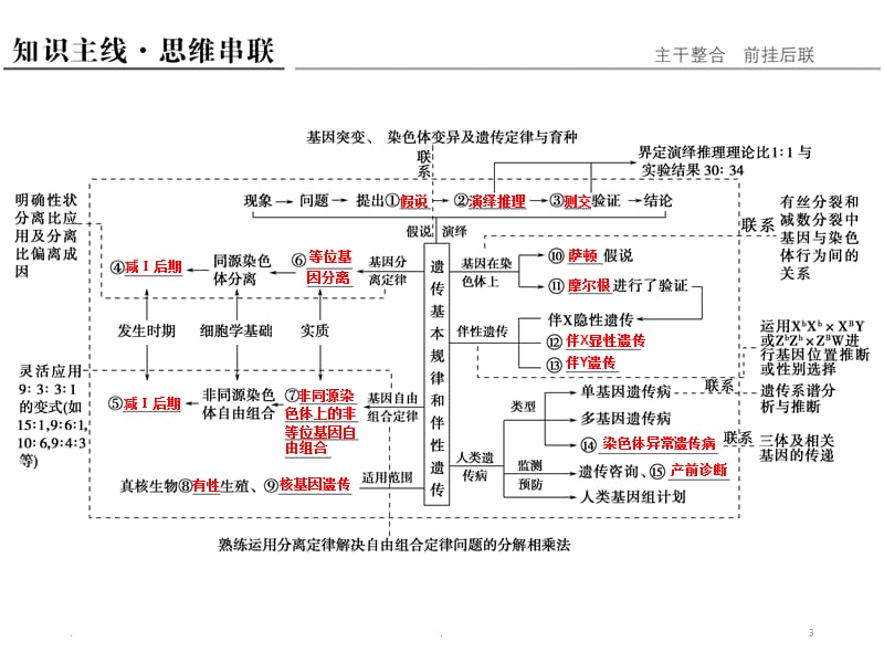 2018届高三二轮复习遗传的基本规律与伴性遗传PPT演示课件_第3页