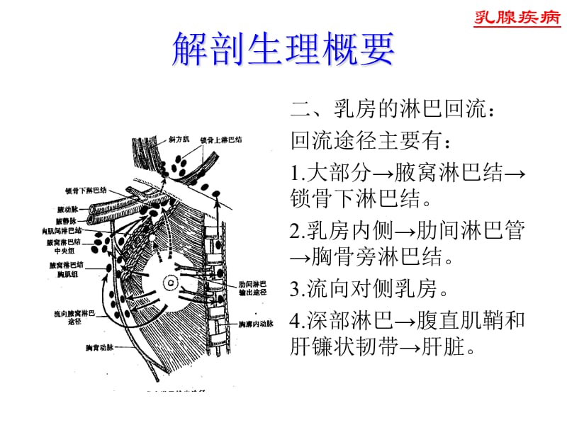 乳腺病新进展PPT演示课件_第3页