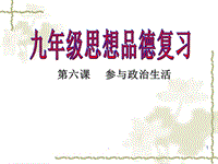 參與政治生活復習PPT演示課件