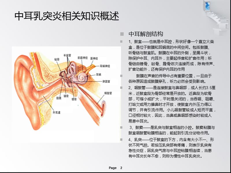 慢性中耳乳突炎PPT课件_第2页