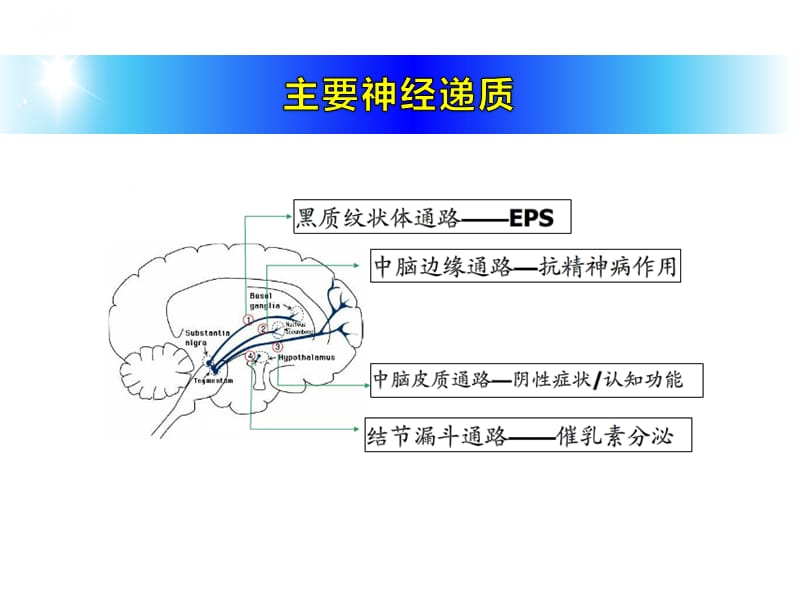 治疗精神障碍药PPT演示课件_第3页