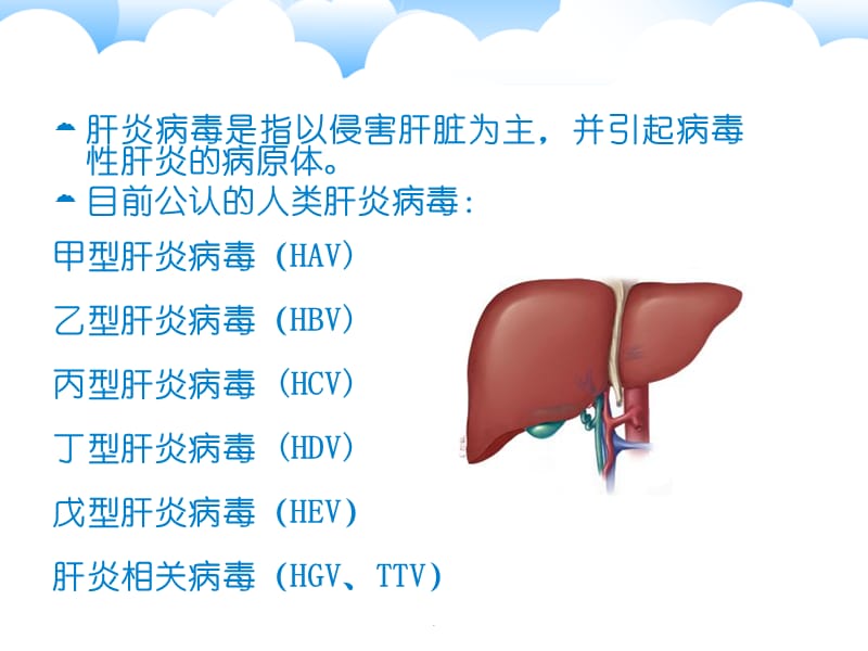 肝炎病毒解读PPT演示课件_第3页