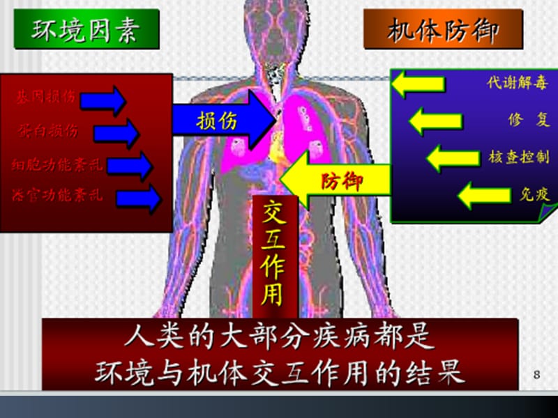 化学毒物的免疫毒性PPT演示课件_第3页