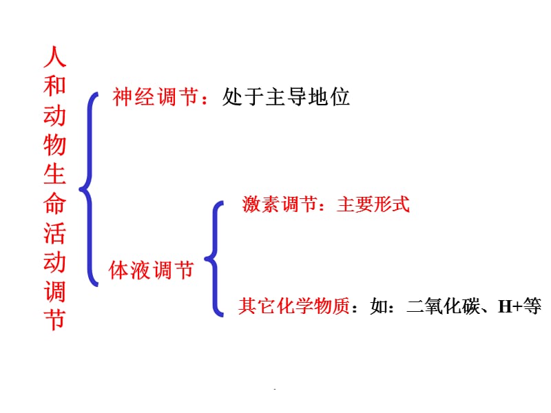 动物激素调节PPT演示课件_第2页