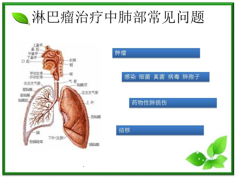 药物性肺损伤PPT演示课件_第2页
