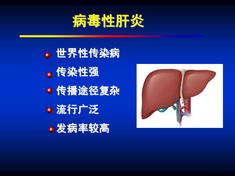 肝炎病毒介绍PPT演示课件_第2页