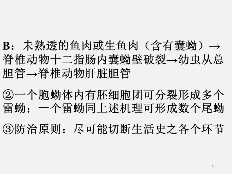 扁形动物PPT演示课件_第1页