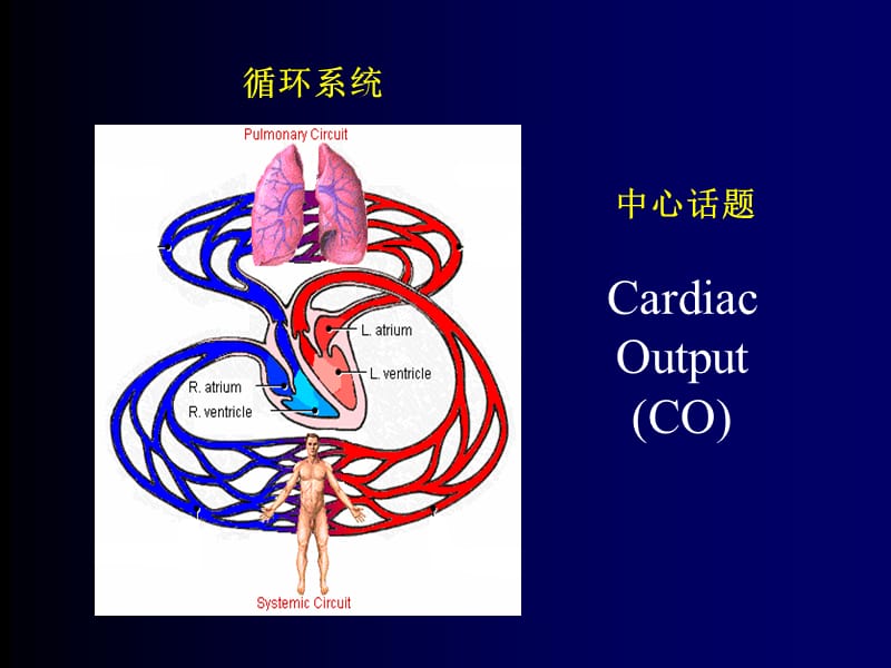 循环系统的病理生理学PPT演示课件_第2页