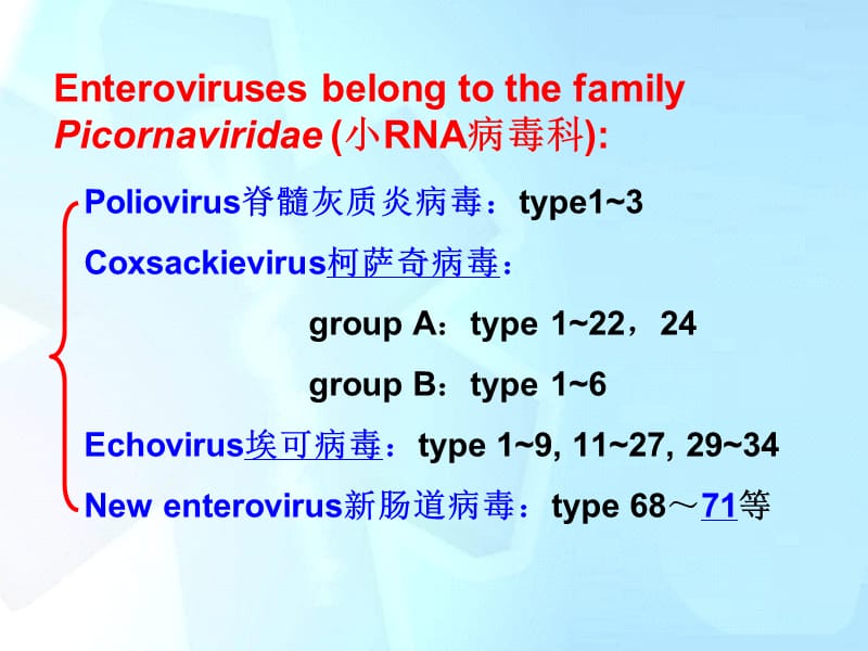 肠道病毒和轮状病毒PPT课件_第2页