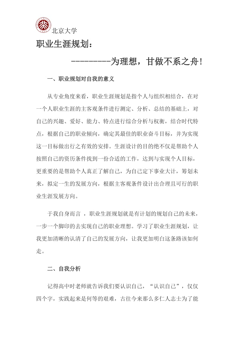 北京大学职业生涯规划书_第2页