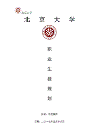 北京大學(xué)職業(yè)生涯規(guī)劃書