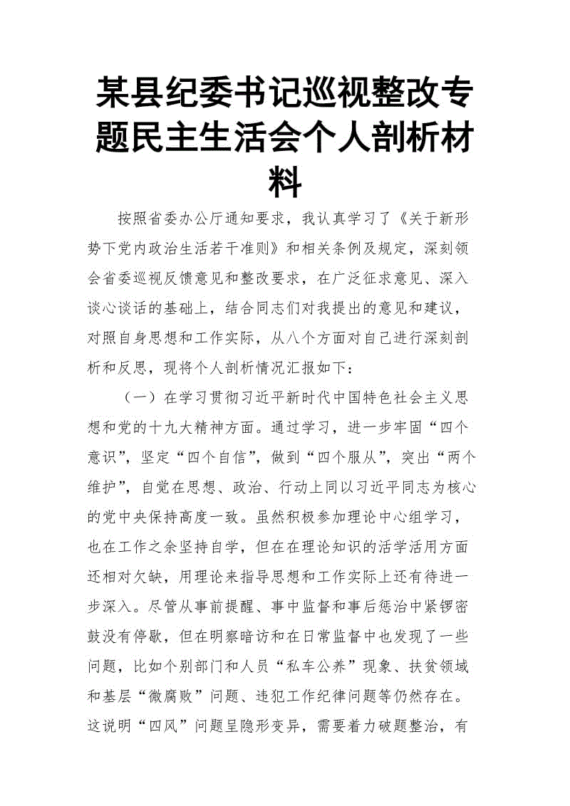 某縣紀(jì)委書記巡視整改專題民主生活會(huì)個(gè)人剖析材料